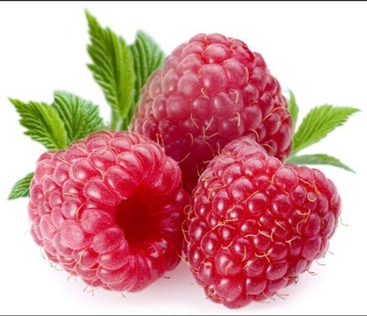 Raspberry Jam